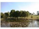 20 Hillview Rd, Cedar Pocket QLD 4570