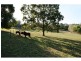 20 Hillview Rd, Cedar Pocket QLD 4570