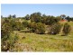 20 Hillview Rd, Cedar Pocket QLD 4570