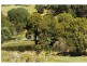 20 Hillview Rd, Cedar Pocket QLD 4570