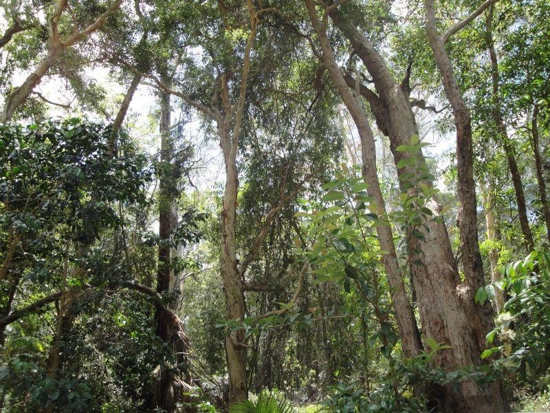 11  Gleneagles Dve, Tewantin QLD 4565