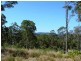 223 North Arm Road, North Arm QLD 4561