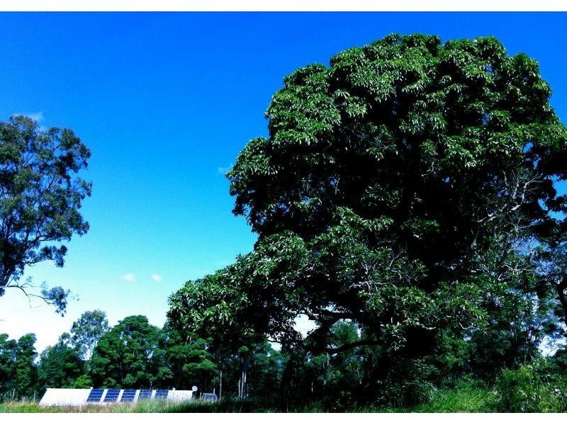 223 North Arm Road, North Arm QLD 4561