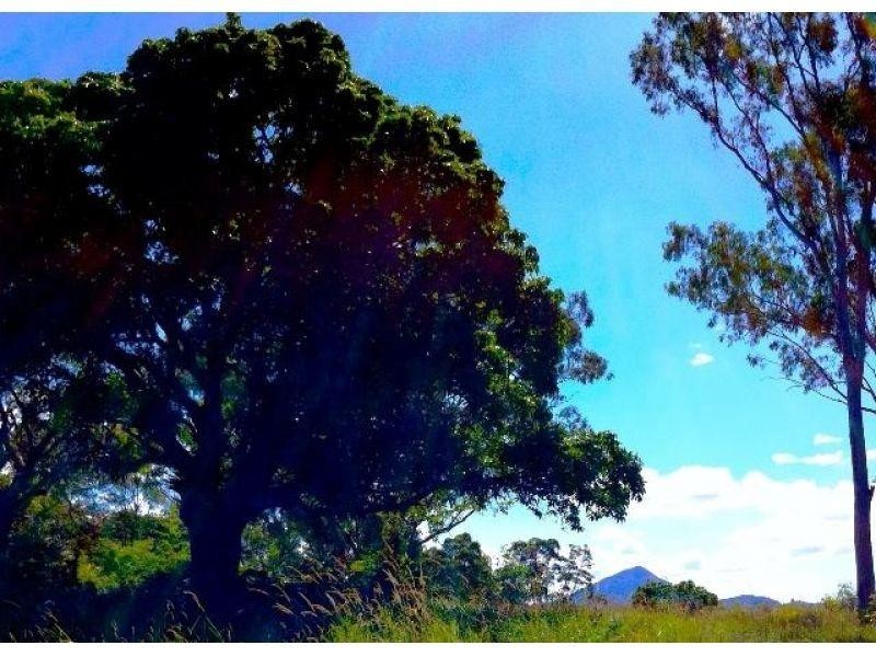 223 North Arm Road, North Arm QLD 4561