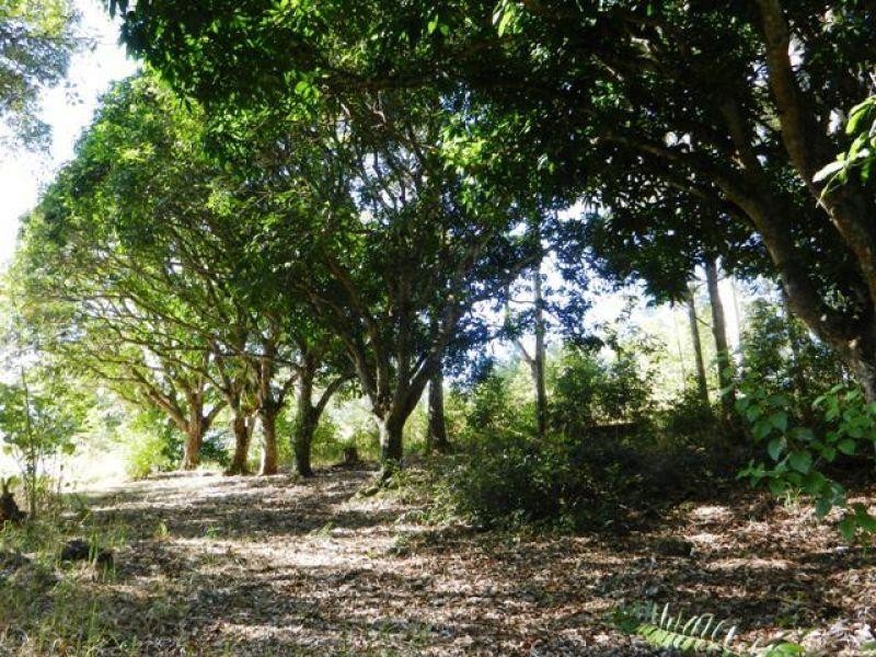 223 North Arm Road, North Arm QLD 4561