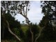 10 Cambridge Court, Tewantin QLD 4565