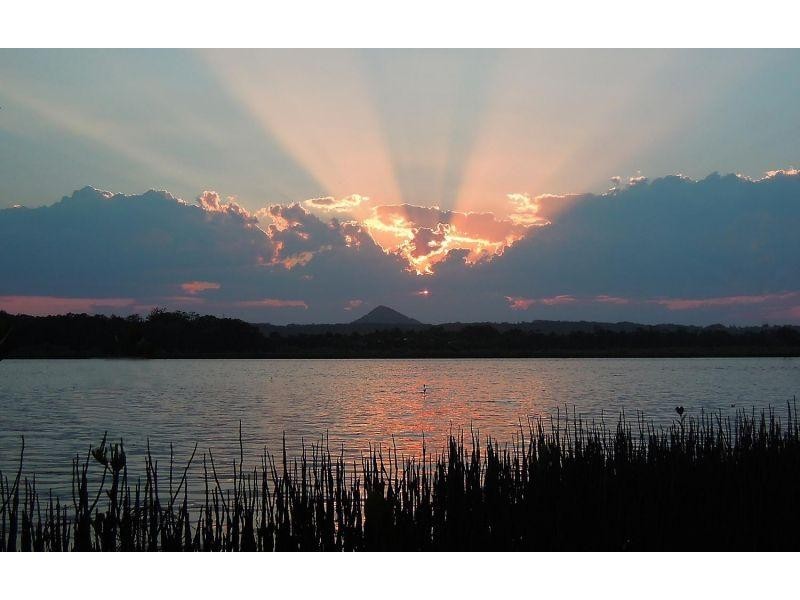 24 Moorhen Place, Noosaville QLD 4566