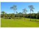 Lot 2 Wallaby Lane, Tinbeerwah QLD 4563