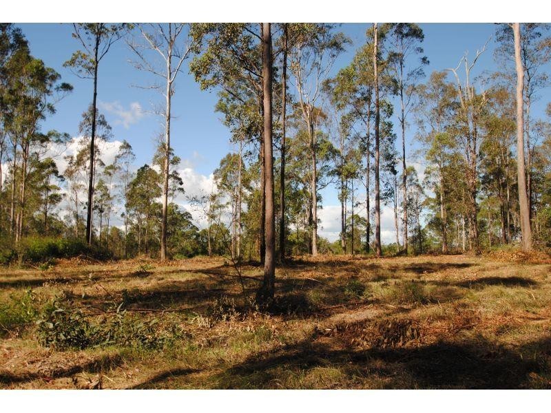 191 Tamaree Road, Tamaree QLD 4570