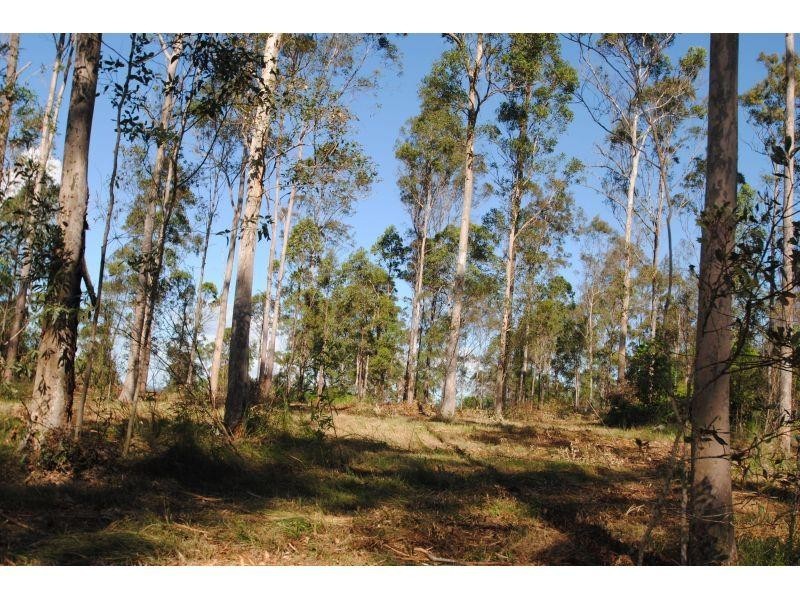 191 Tamaree Road, Tamaree QLD 4570