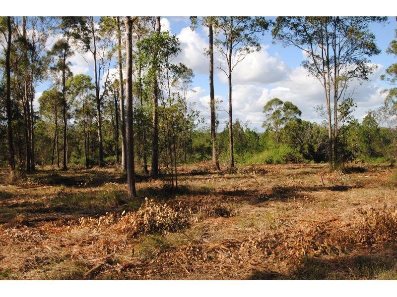 191 Tamaree Road, Tamaree QLD 4570