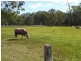 1 & 274 Illawarra Dr &  Illoura Pl, Cooroibah QLD 4565