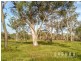 Lot 16 Cream Box Court, Ringtail Creek QLD 4565