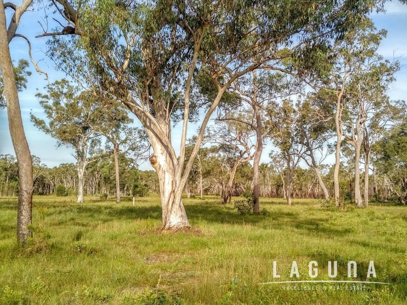 Lot 16 Cream Box Court, Ringtail Creek QLD 4565