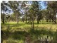 Lot 16 Cream Box Court, Ringtail Creek QLD 4565