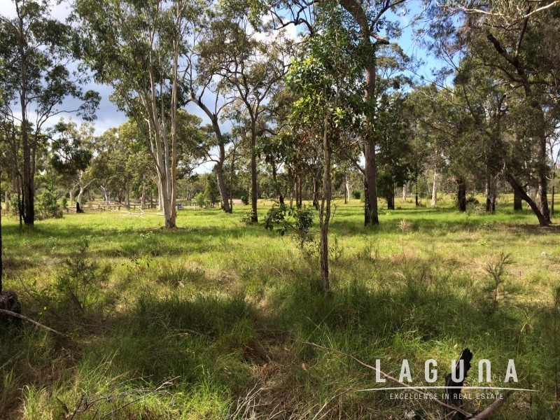 Lot 16 Cream Box Court, Ringtail Creek QLD 4565