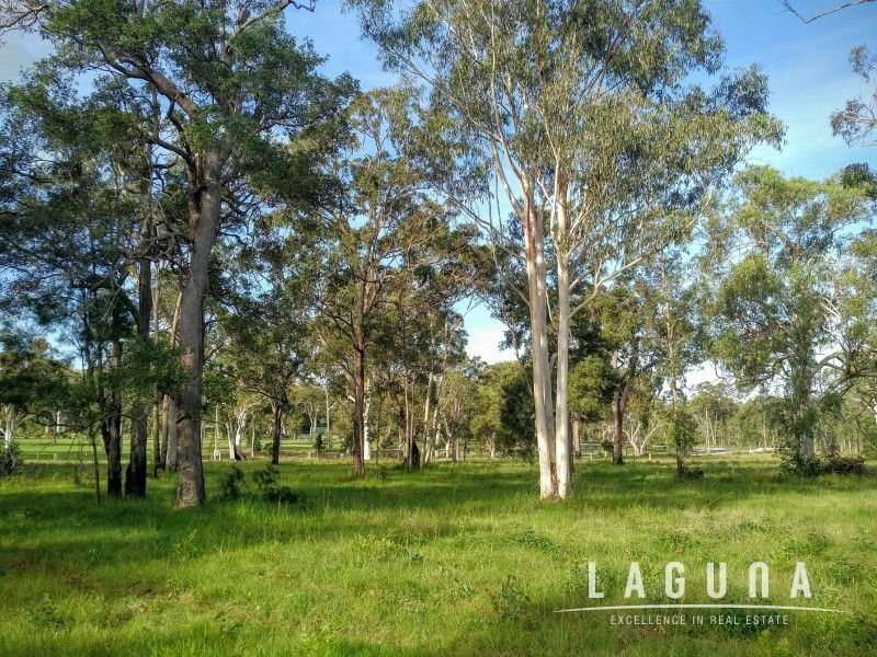 Lot 16 Cream Box Court, Ringtail Creek QLD 4565