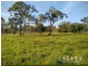 Lot 16 Cream Box Court, Ringtail Creek QLD 4565