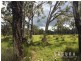 Lot 16 Cream Box Court, Ringtail Creek QLD 4565