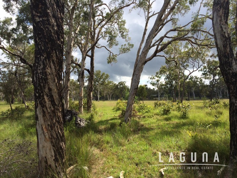 Lot 16 Cream Box Court, Ringtail Creek QLD 4565