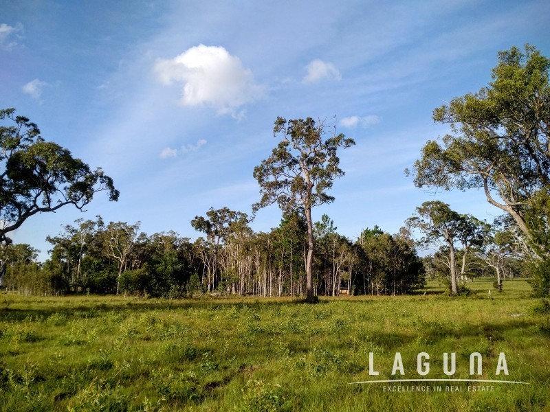 Lot 16 Cream Box Court, Ringtail Creek QLD 4565