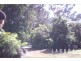 9 Toolara Street, Boreen Point QLD 4565