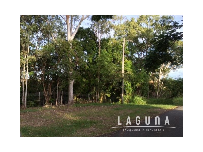 12 Ada Street, Tewantin QLD 4565
