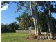 3 Joyce Street, Tewantin QLD 4565