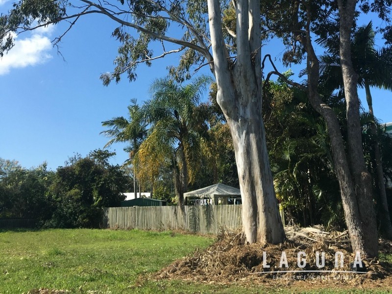 3 Joyce Street, Tewantin QLD 4565