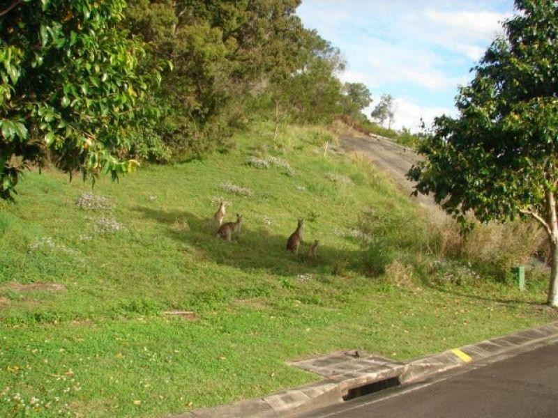 12 Jasper Court, Coolum Beach QLD 4573