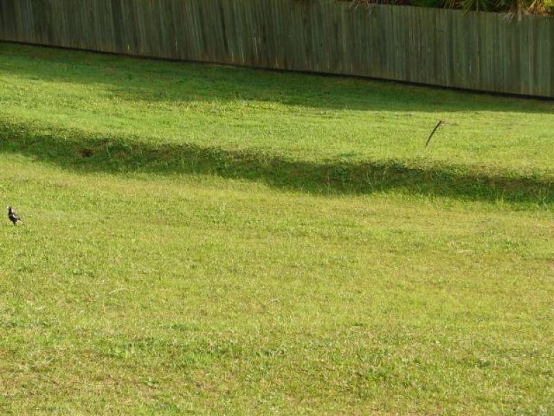 108 Jadie Court, Coolum Beach QLD 4573