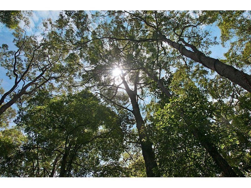 24 Christella Place, Verrierdale QLD 4562