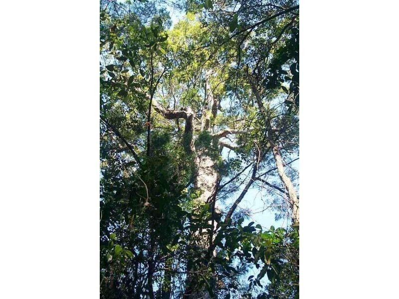 24 Christella Place, Verrierdale QLD 4562