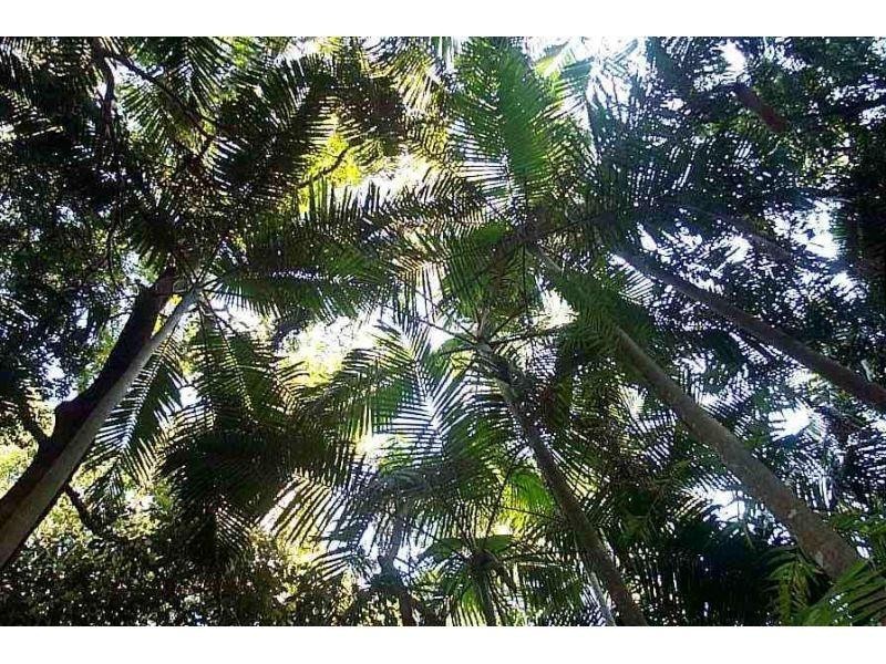 24 Christella Place, Verrierdale QLD 4562