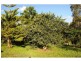 Lot 1, 74 Hillview Road, Cedar Pocket QLD 4570