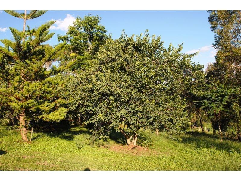 Lot 1, 74 Hillview Road, Cedar Pocket QLD 4570
