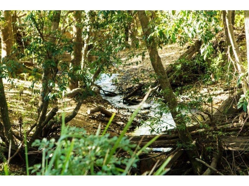 181 Offer Road, Veteran QLD 4570