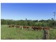 38 Ironstone Creek Road, Tuchekoi QLD 4570