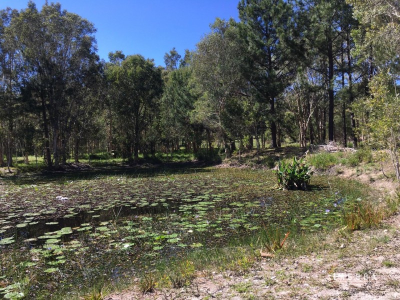 3A Illoura Place, Cooroibah QLD 4565