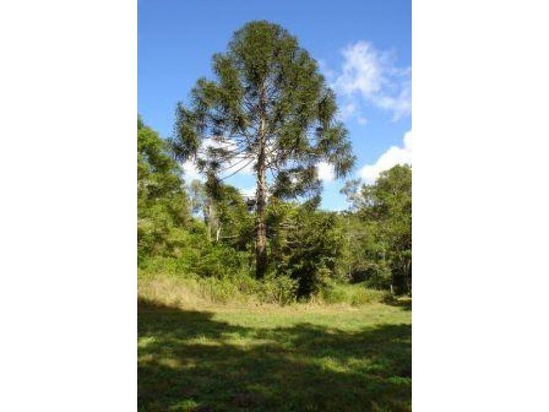 82 Francis Road, Kin Kin QLD 4571