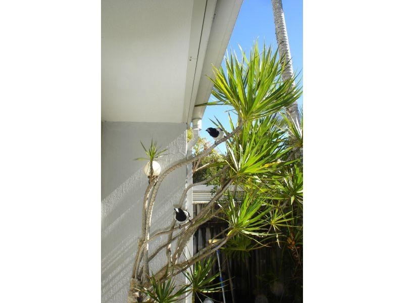 10 Doonella St, Tewantin QLD 4565