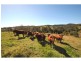 1611 Sandy Creek Road, Downsfield QLD 4570
