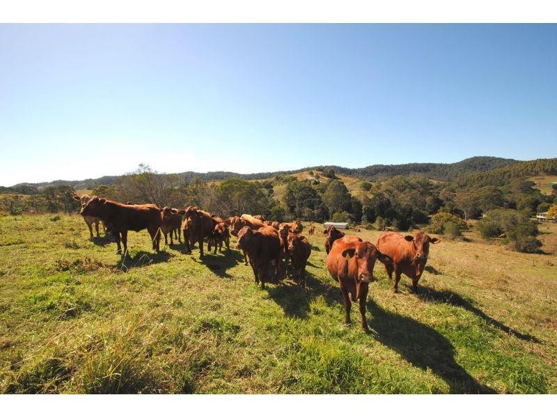 1611 Sandy Creek Road, Downsfield QLD 4570