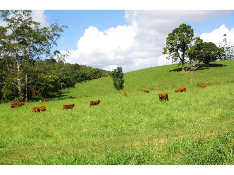 1611 Sandy Creek Road, Downsfield QLD 4570