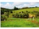 1611 Sandy Creek Road, Downsfield QLD 4570