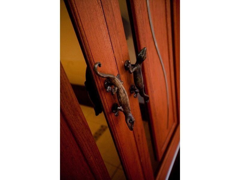 48 Directors Ct, Jones Hill QLD 4570