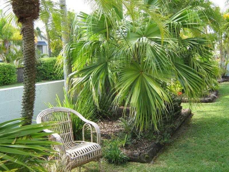 2/13 Munna Crescent, Noosaville QLD 4566