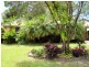 3 Laurina Ct, Tewantin QLD 4565