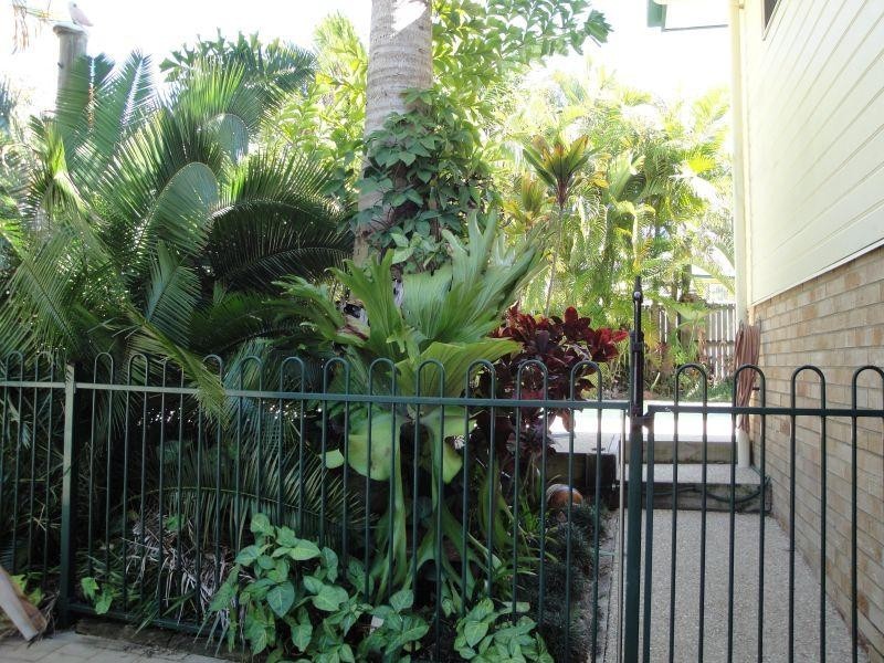 35 Gooloi Court, Tewantin QLD 4565