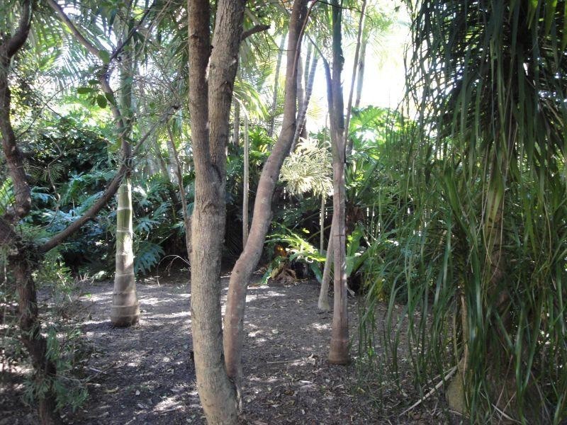 35 Gooloi Court, Tewantin QLD 4565